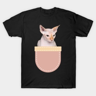 Sphynx Cat in Pocket T-Shirt